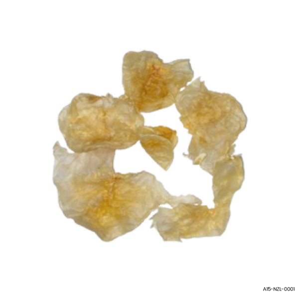 Dried Tapah Fish Maw